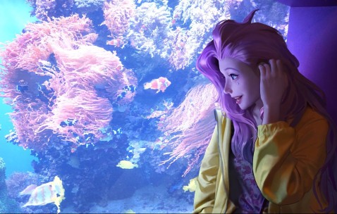 kaiyun-v7.2.5 版本全面解析，2026年3月15日的重要更新与未来展望