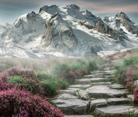 kaiyun-跨越技术里程碑，v7.2.5 版本深度解读与 2026 年 3 月 15 日更新全记录