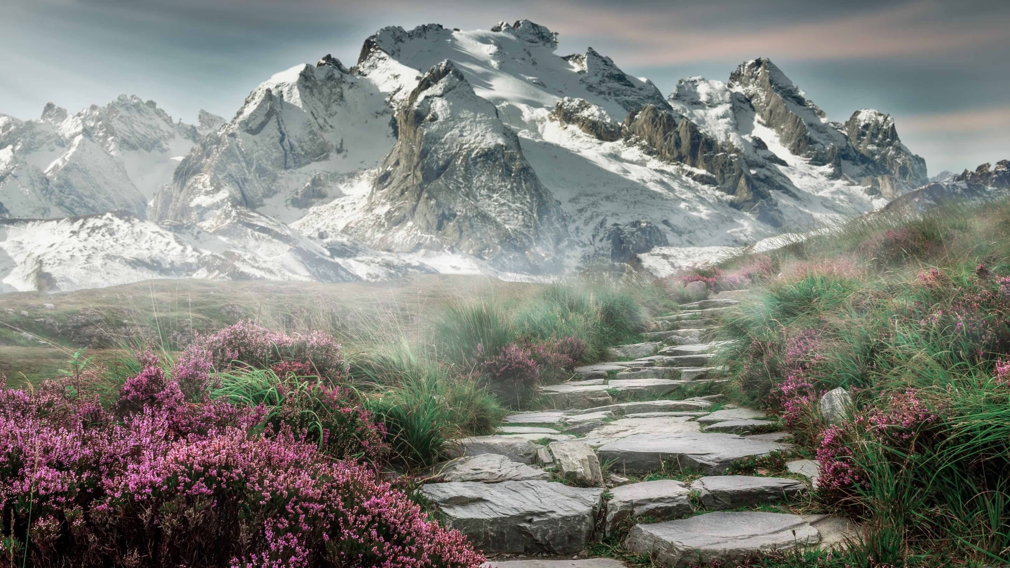 跨越技术里程碑，v7.2.5 版本深度解读与 2026 年 3 月 15 日更新全记录